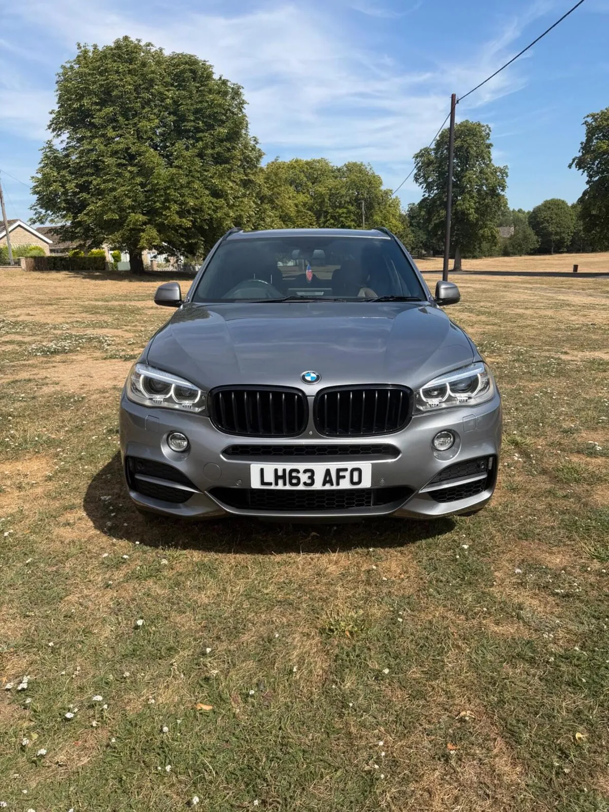 BMW X5 2013 photo 2