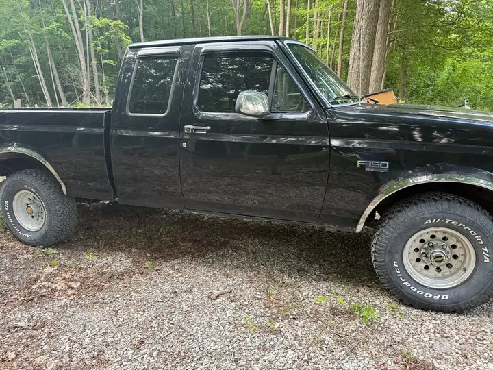 Ford F-150 1995 photo 3