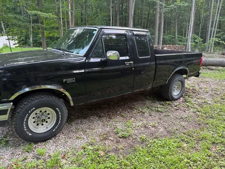 Ford F-150 1995 photo 2