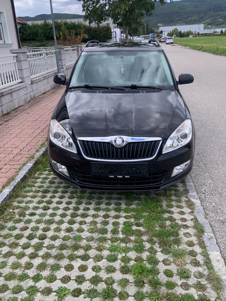 Skoda Fabia 2010 photo 2