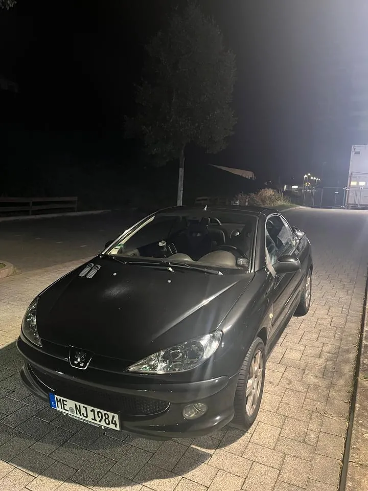 Peugeot 206 Cc Cabrio