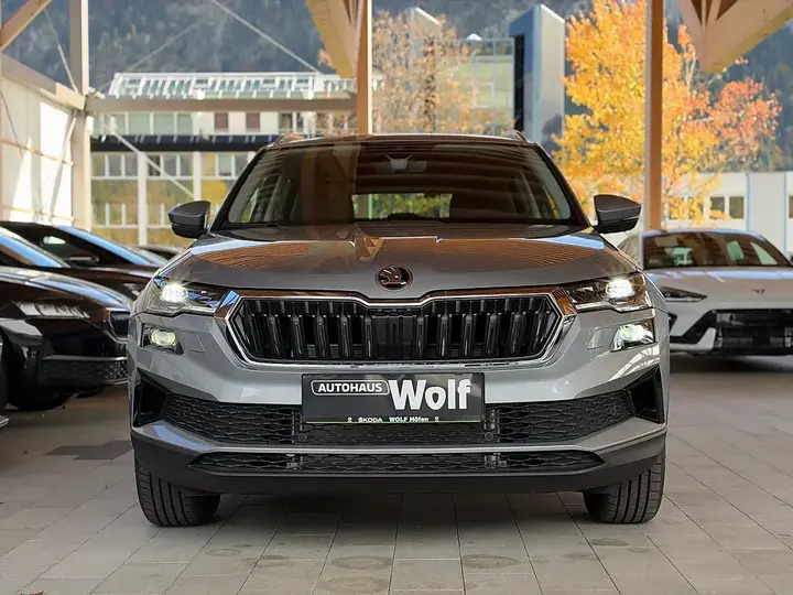 Skoda Karoq 2026 photo 2