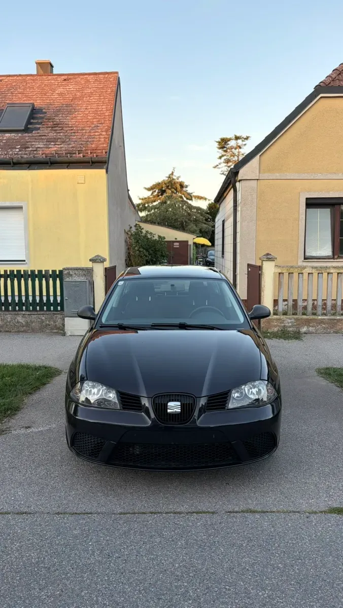 Seat Ibiza 2008 photo 2