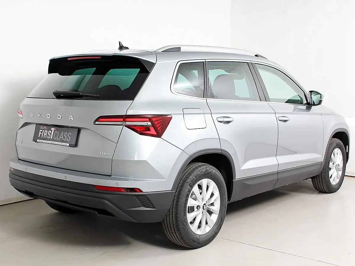 Skoda Karoq 2026 photo 2