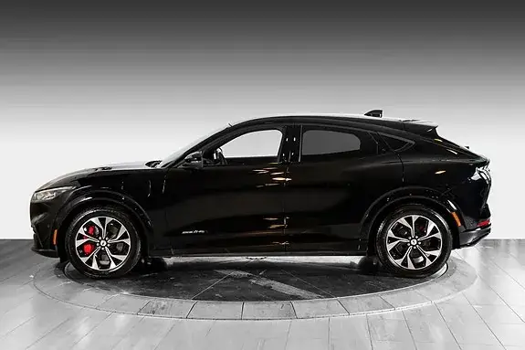 Ford Mustang Mach-E 2022 photo 4