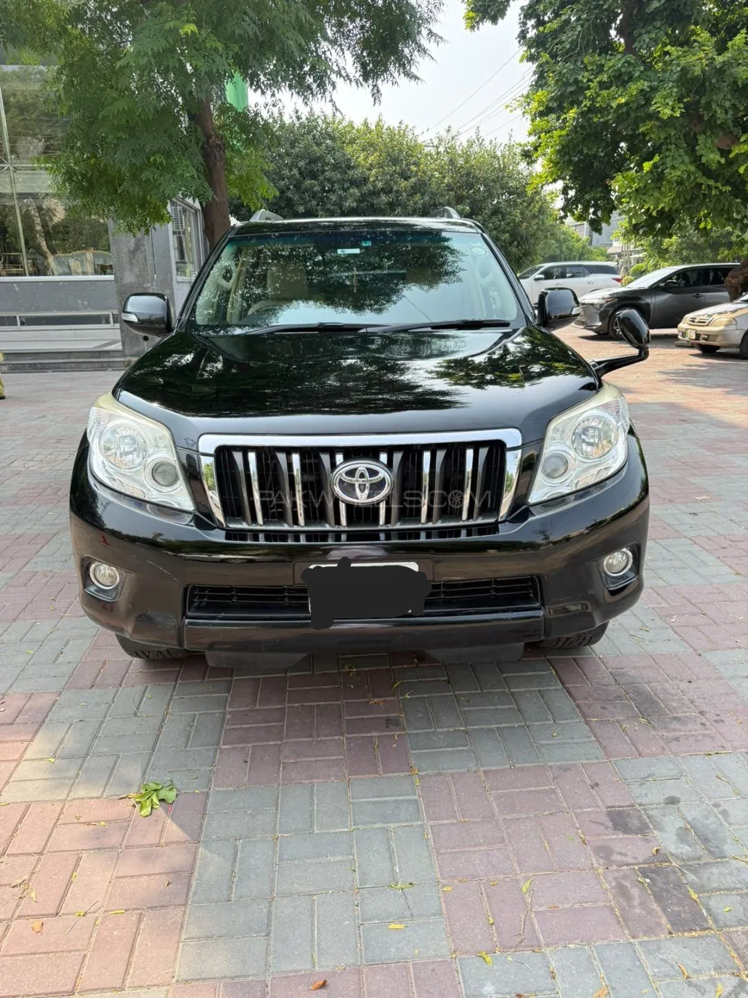 Toyota Prado
