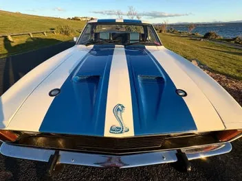 Ford Falcon 1979 photo 4