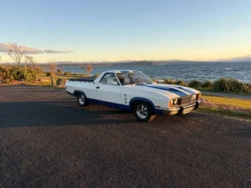 Ford Falcon 1979 photo 3
