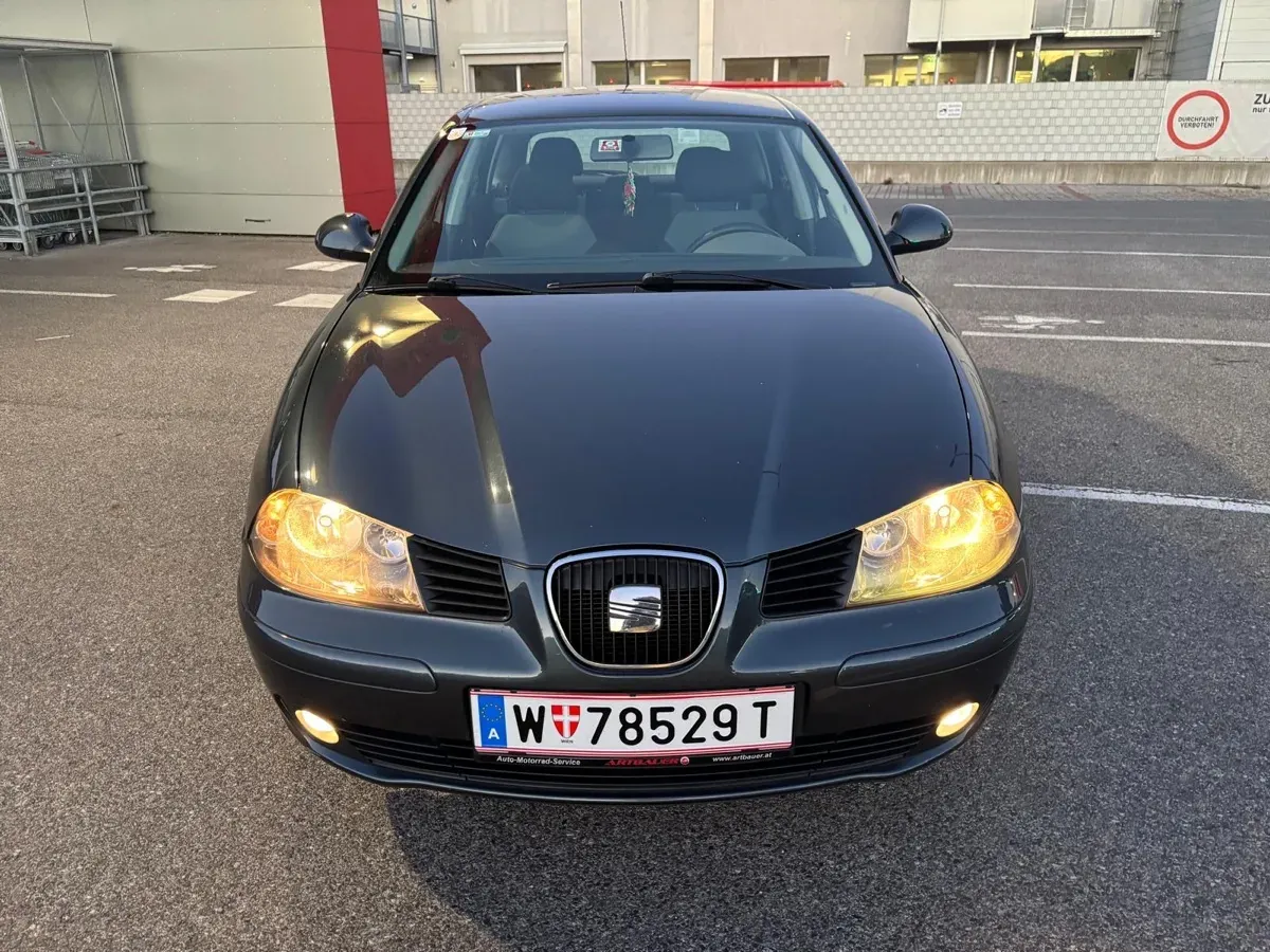 Seat Ibiza 2007 photo 2