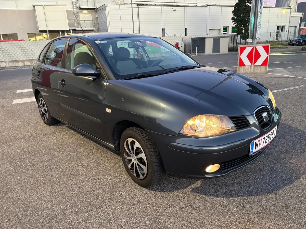 Seat Ibiza 2007 photo 3