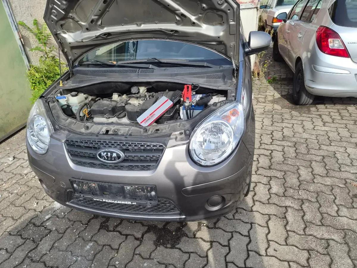 Kia Picanto 2010 photo 3