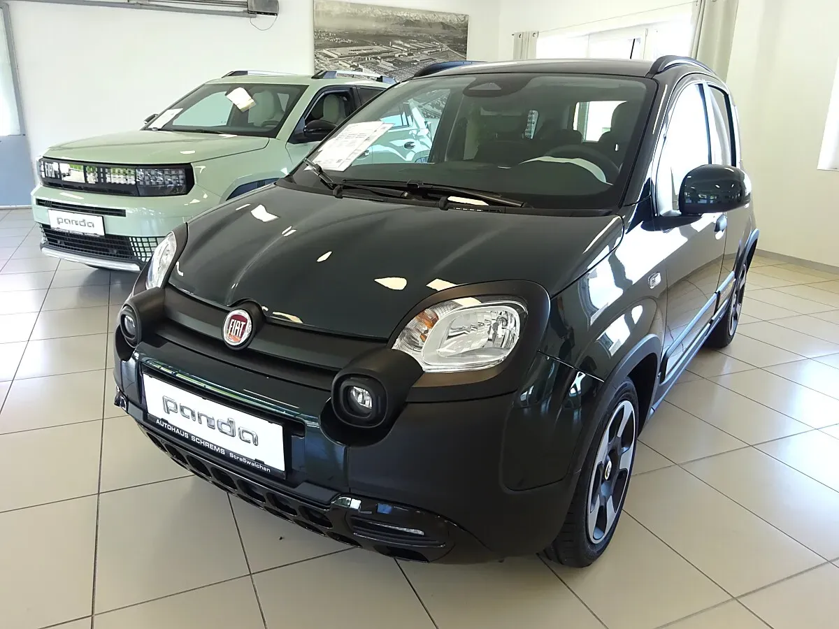Fiat Pandina