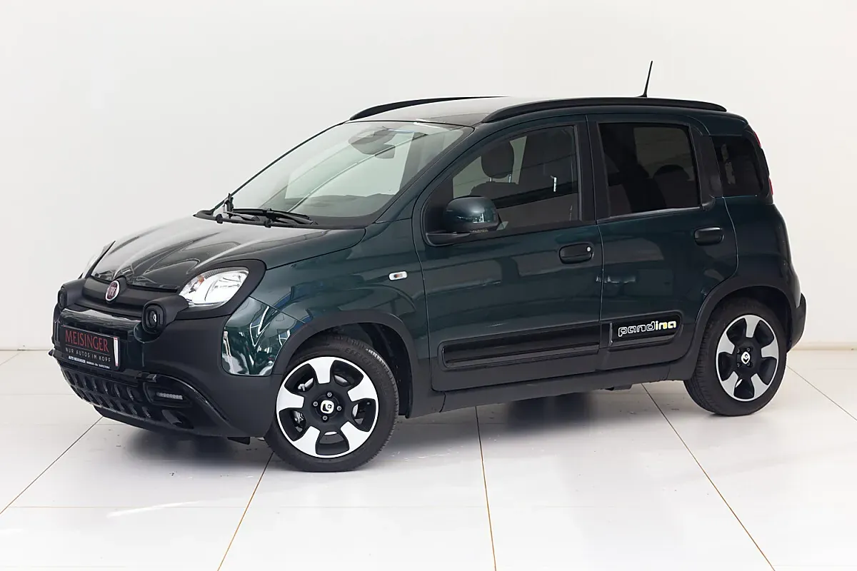 Fiat Pandina
