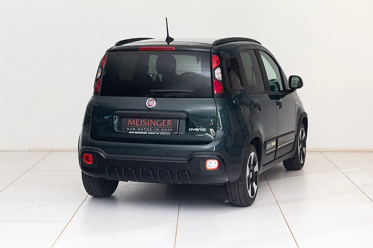 Fiat Pandina 2026 photo 2