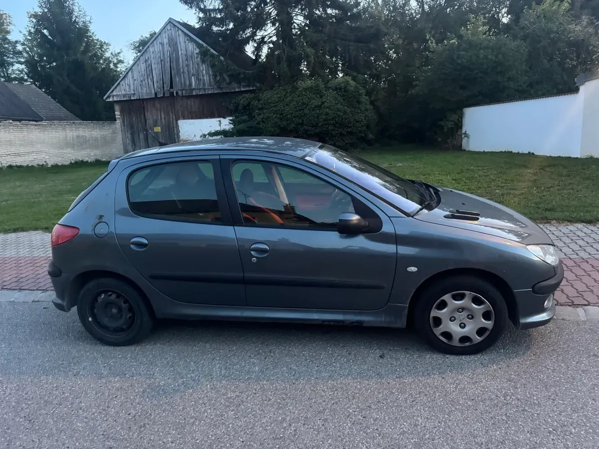 Peugeot 206 2006 photo 2
