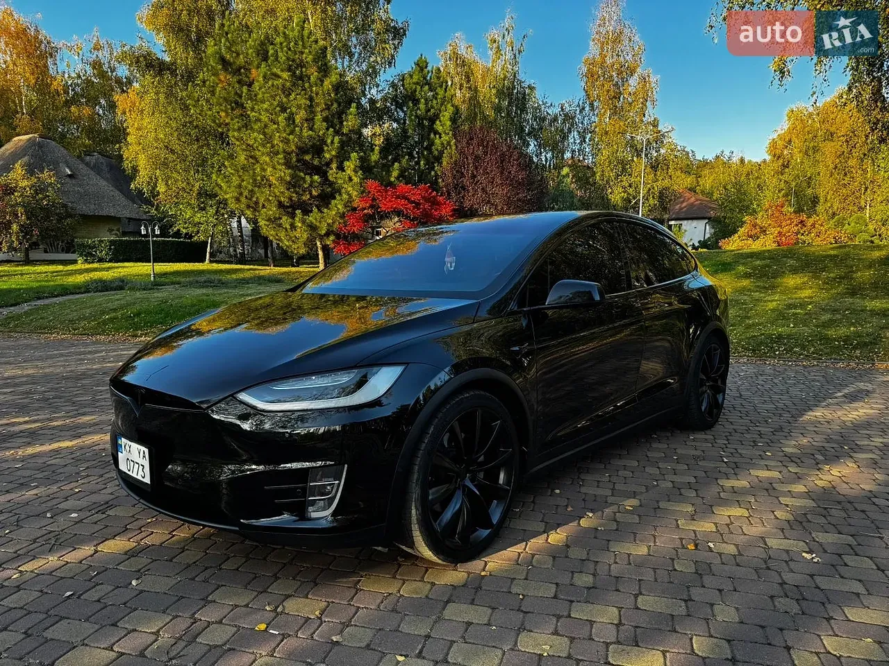Tesla Model X 2018 photo 2