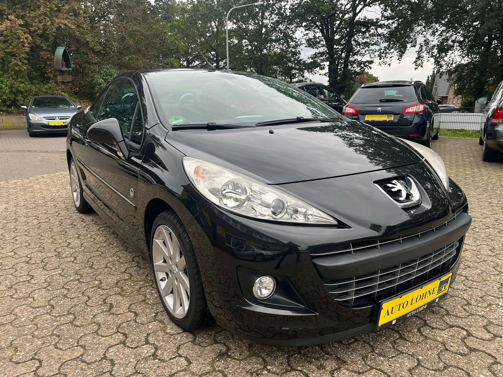 Peugeot 207 2010 photo 2