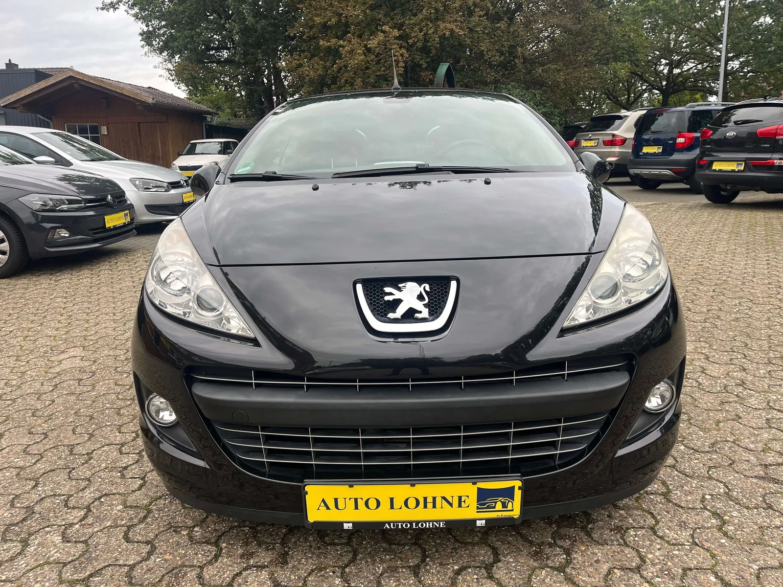 Peugeot 207 2010 photo 3