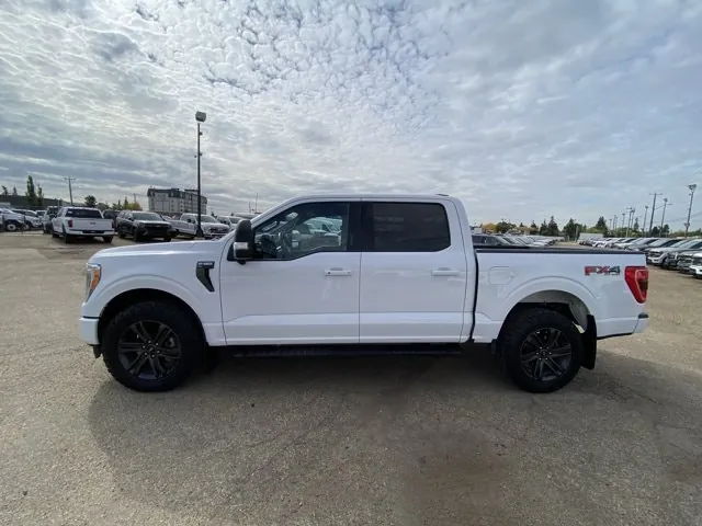 Ford F-150 2021 photo 3