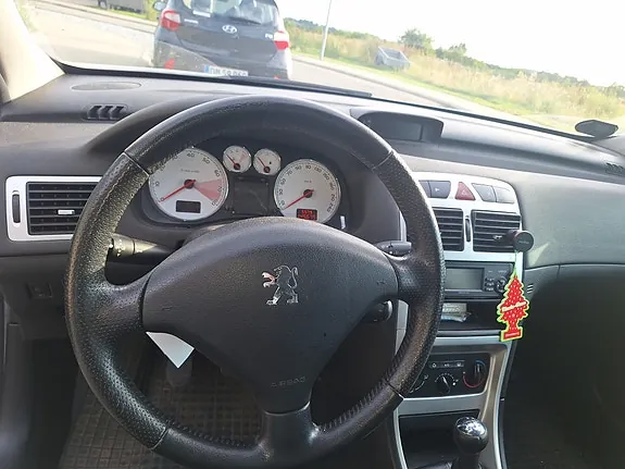 Peugeot 307 2006 photo 5