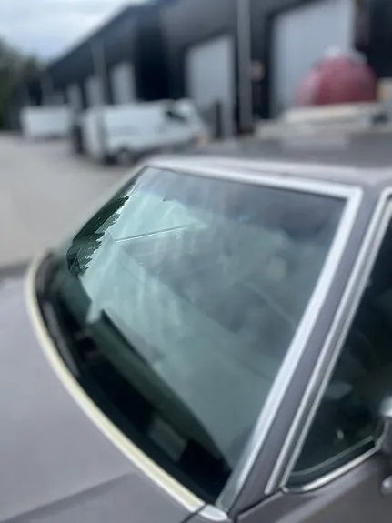 Chevrolet Caprice 1984 photo 5