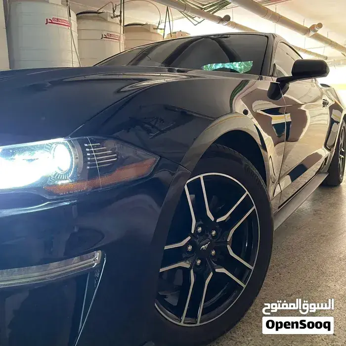 Ford Mustang 2019 photo 2