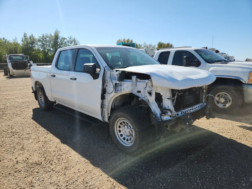 Chevrolet Silverado 1500 2019 photo 2