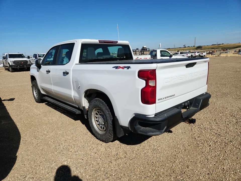 Chevrolet Silverado 1500 2019 photo 3
