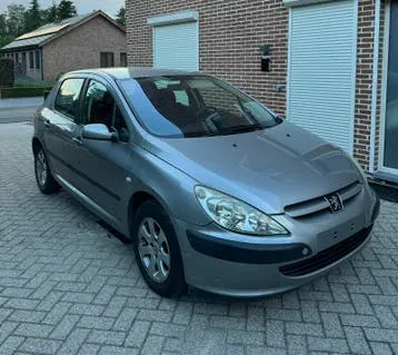 Peugeot 307 2004 photo 3