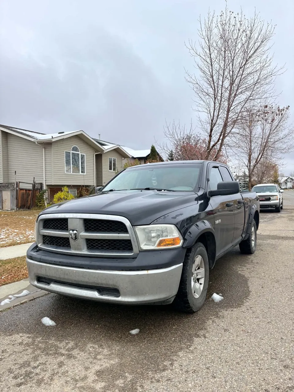 Dodge Ram 1500 2010 photo 2