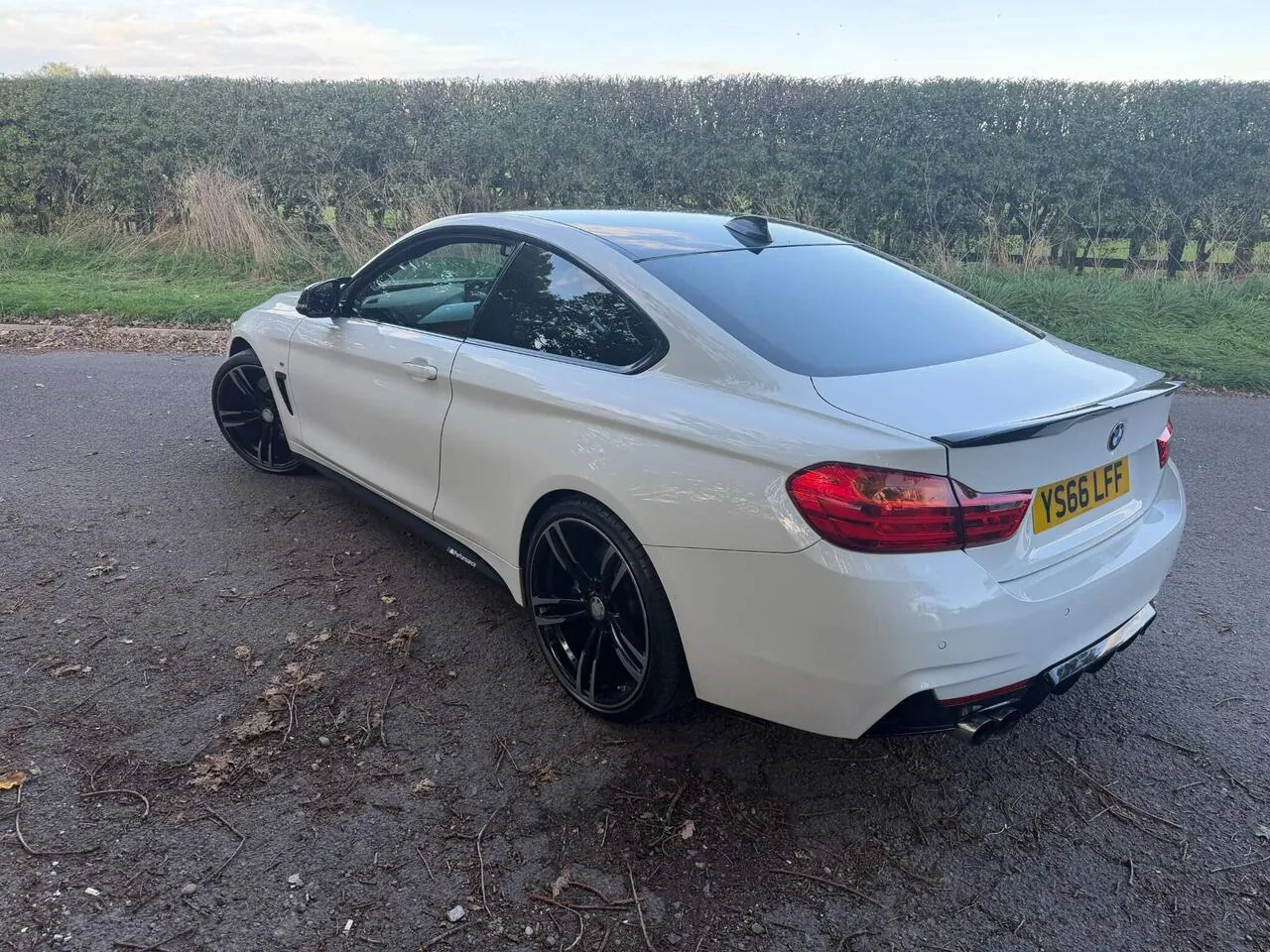 BMW 4 Series 2016 photo 3