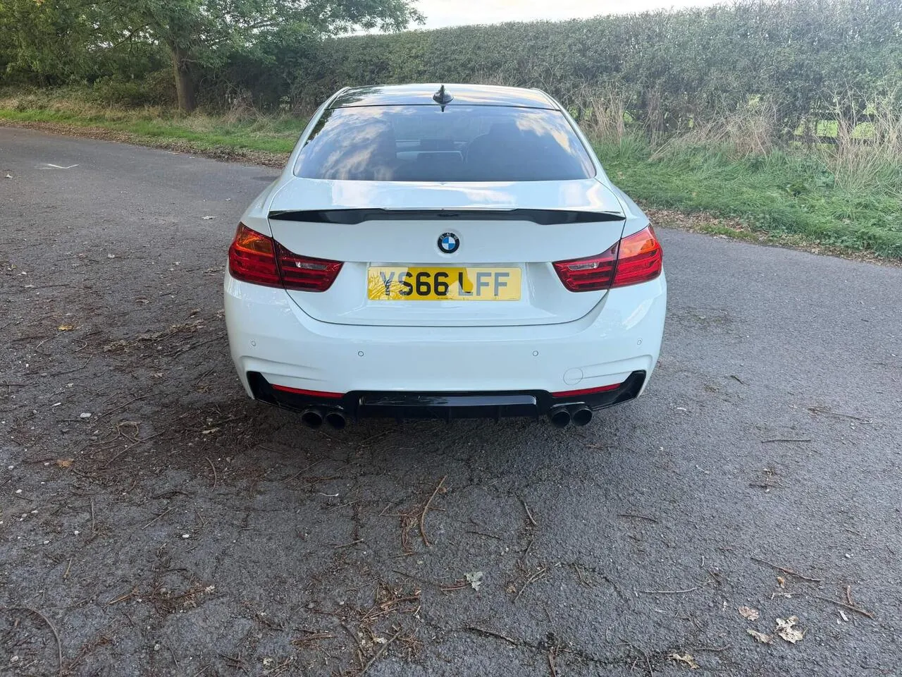 BMW 4 Series 2016 photo 4