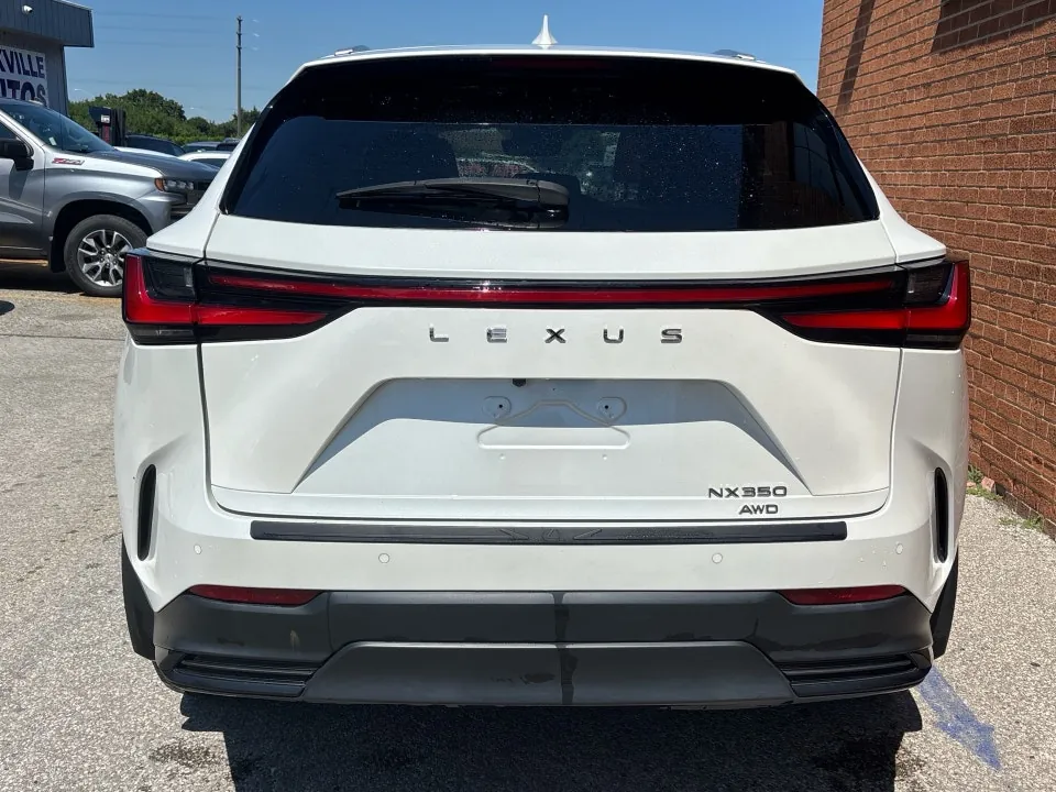 Lexus Nx 350 2024 photo 5