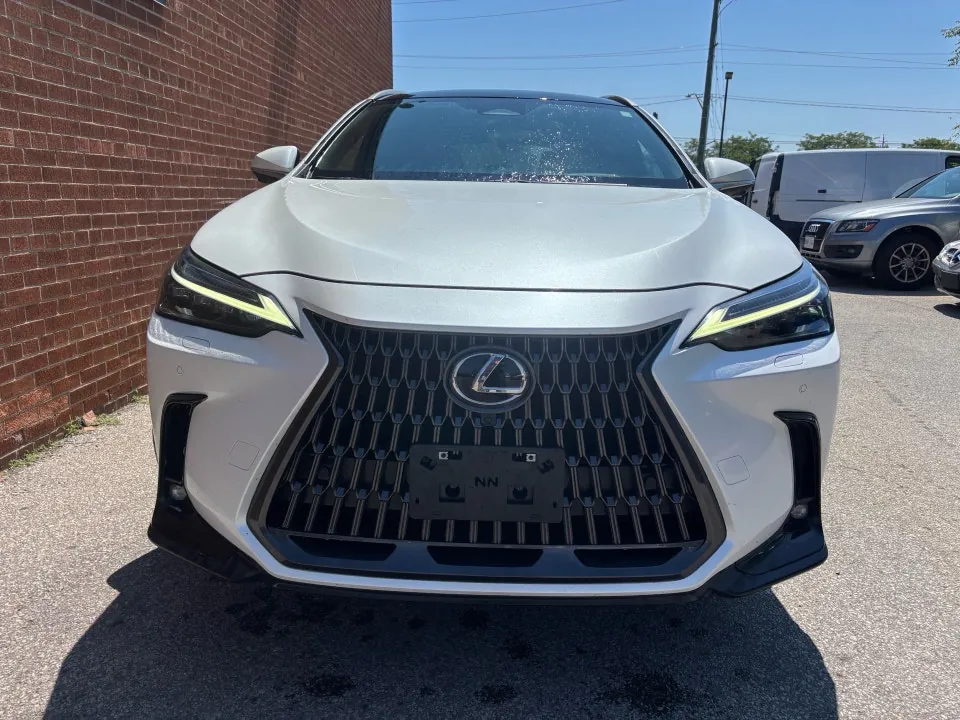 Lexus Nx 350 2024 photo 2
