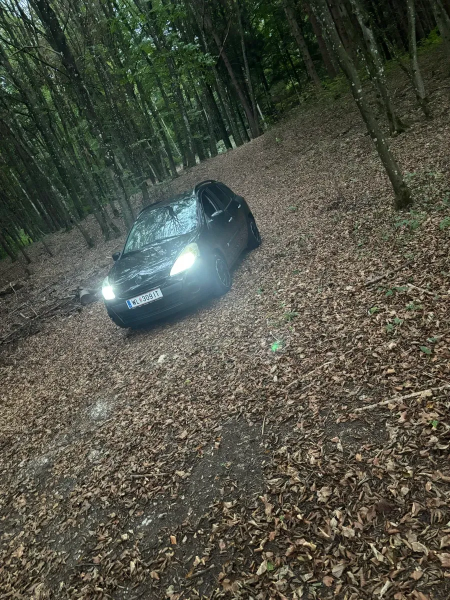 Renault Clio 2009 photo 2