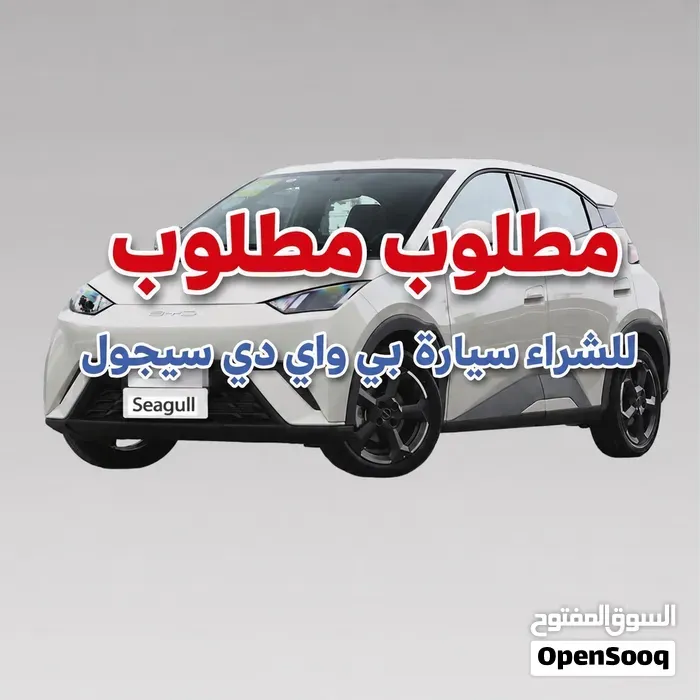 BYD Seagull
