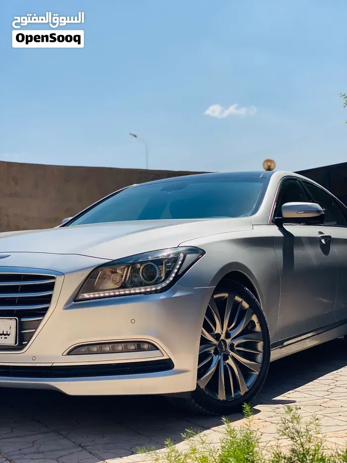 Genesis Sonata
