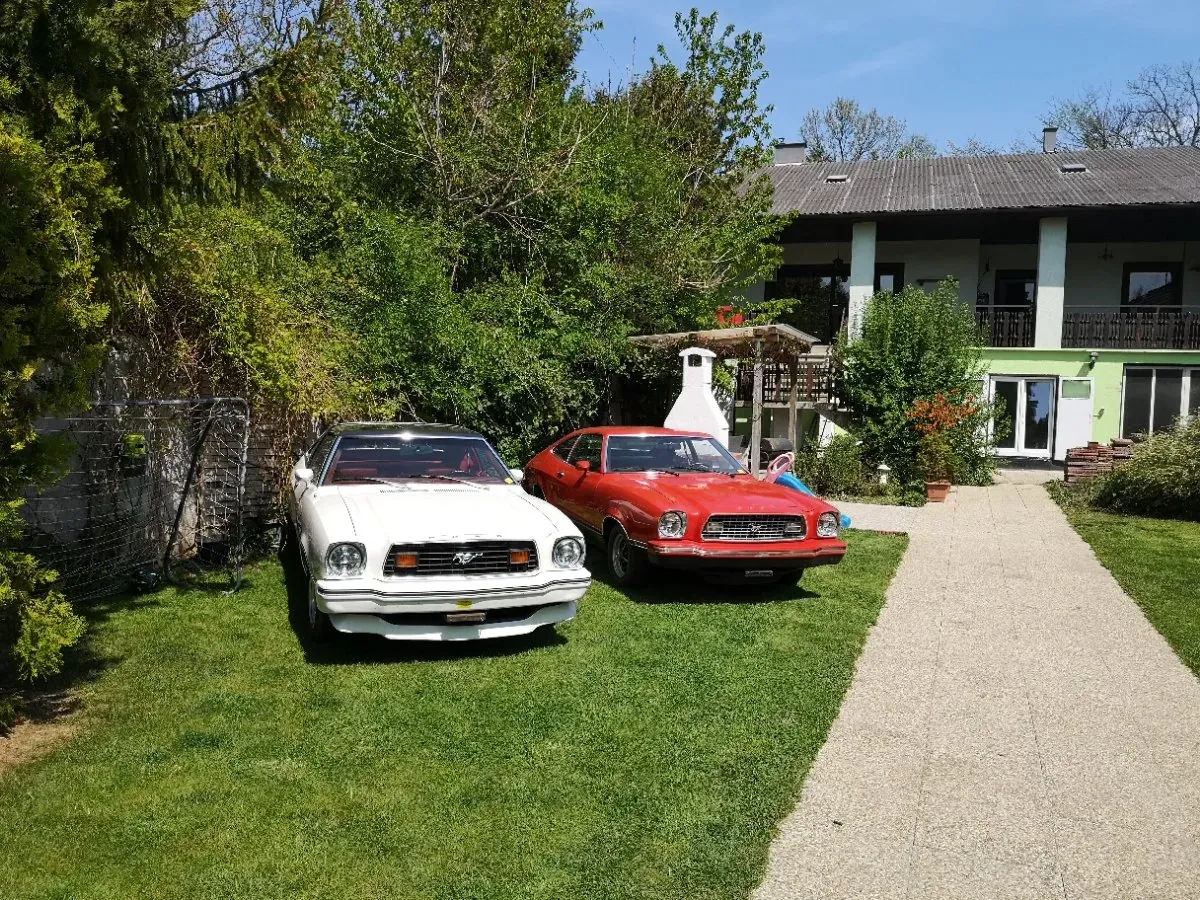 Ford Mustang 1978 photo 3