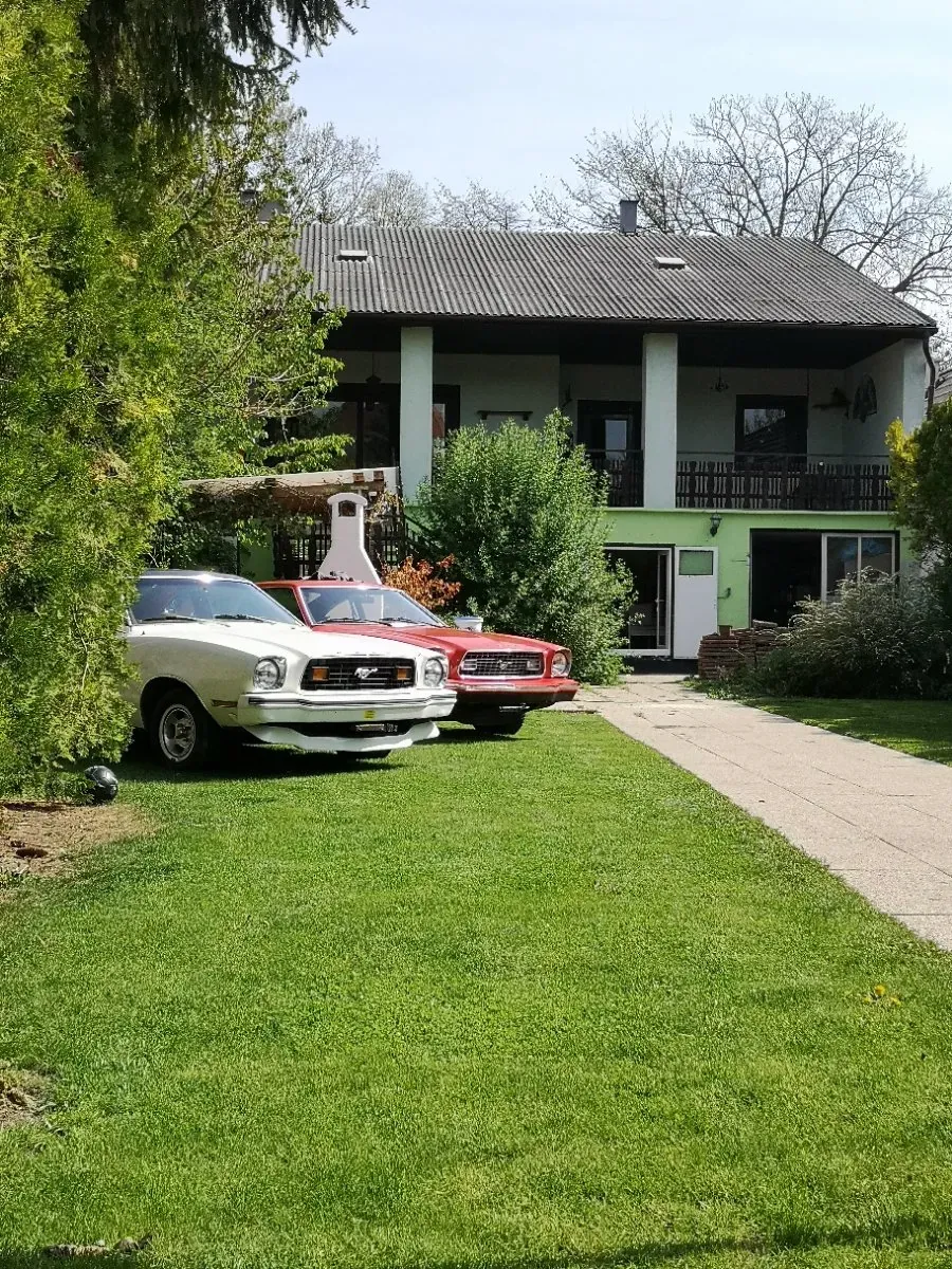 Ford Mustang 1978 photo 2