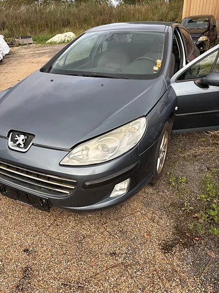 Peugeot 407 2005 photo 2