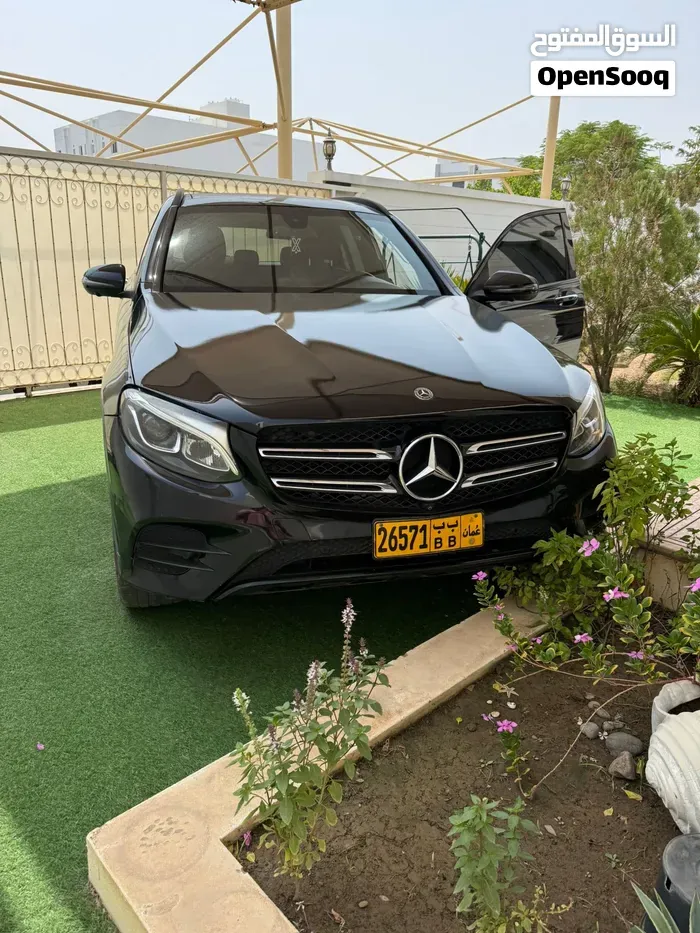 Mercedes-Benz Glc 300 2018 photo 2