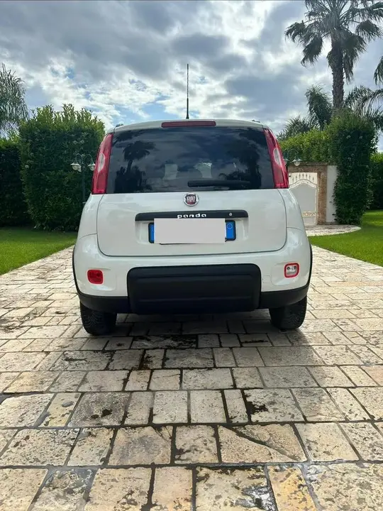 Fiat Panda 2023 photo 2