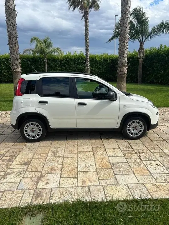 Fiat Panda 2023 photo 5