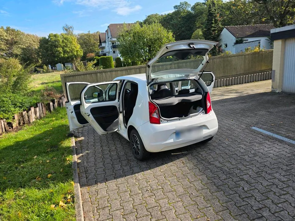 Seat Mii