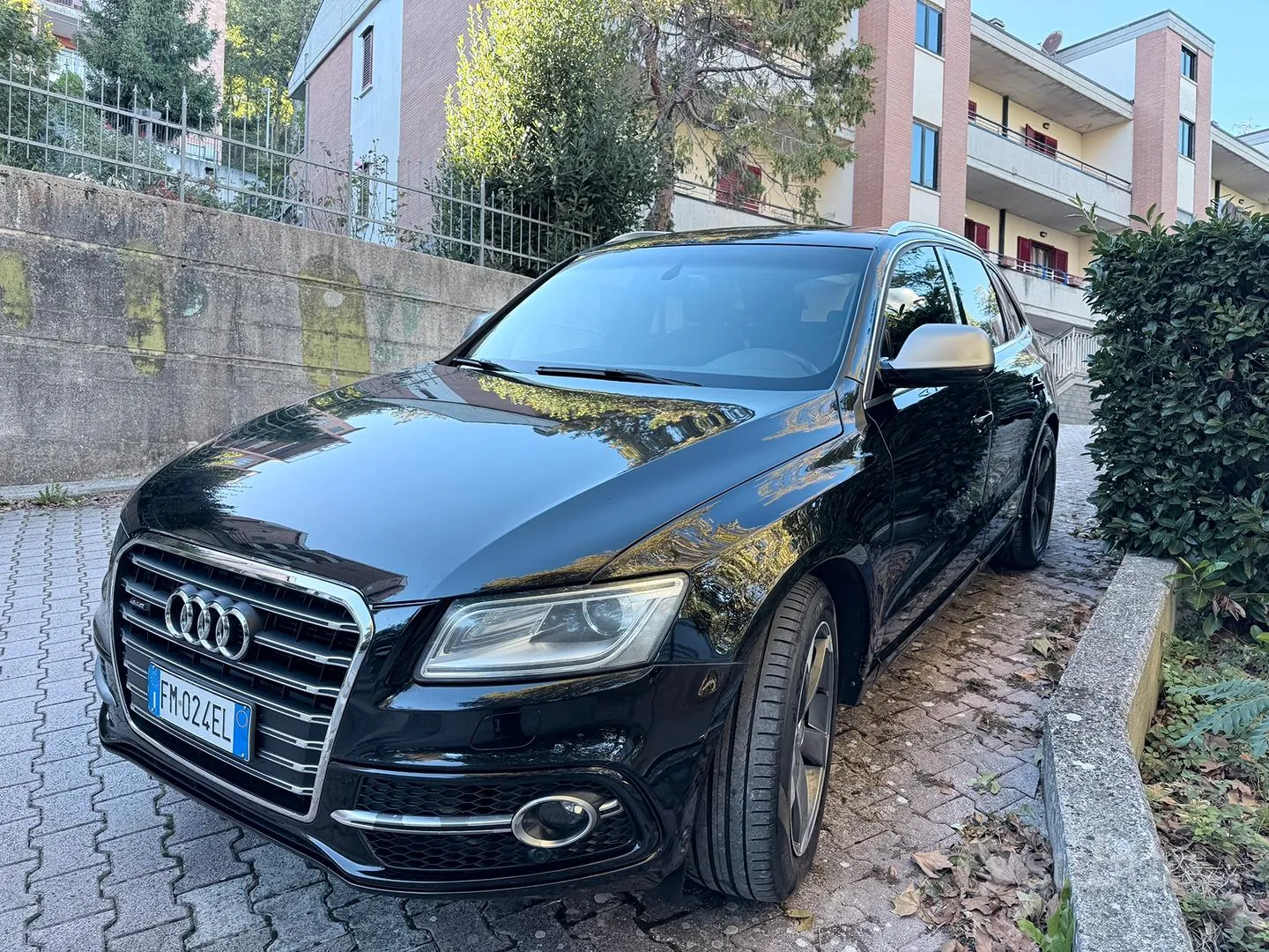 Audi Q5 2009 photo 2