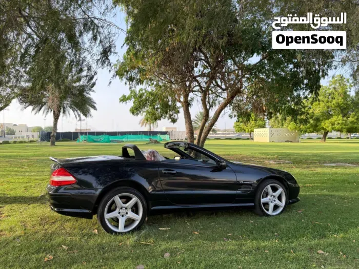 Mercedes-Benz Sl-Class 2008 photo 5