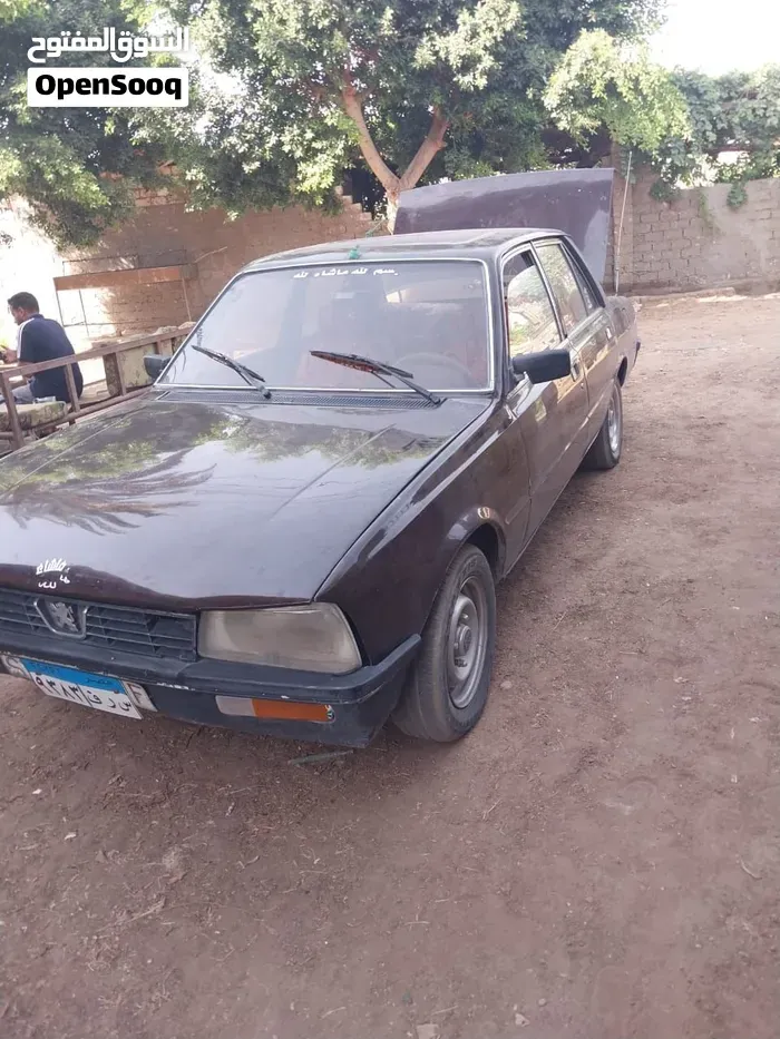 Peugeot 505 1980 photo 2