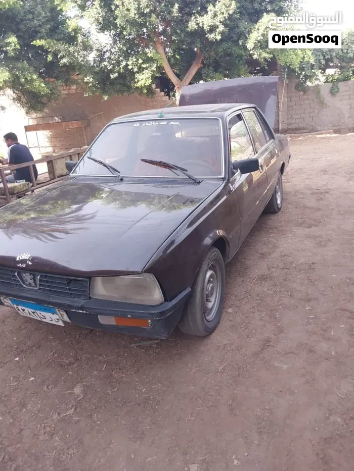 Peugeot 505
