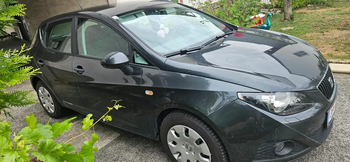 Seat Ibiza 2010 photo 2