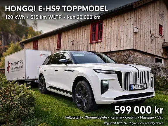 Hongqi E-Hs9